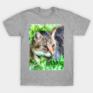 Cats - Tabby Cat Closeup T-Shirt